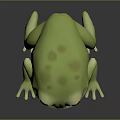 Cute 3D Green Frog Character With Yellow Eyes And Animated Design Features