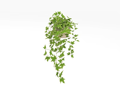 Hanging Bonsai Potted Plant With Lush Green Leaves And Trailing Vines 3d model