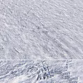 Snow Covered Ground Surface With Natural Texture And Visible Traces In Winter Landscape