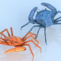 Vibrant Blue and Orange Aquatic Crabs Featuring Detailed Legs Claws and Body Structure