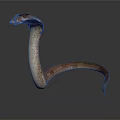 snake cobra venomous snake python reptile cold-blooded animal reptile 3d model