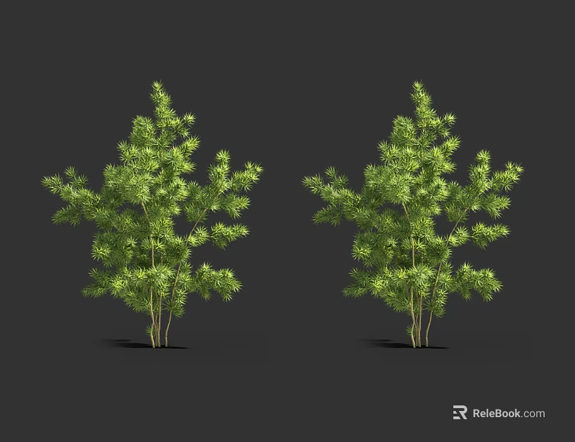 Two Vibrant Green Leafy Trees with Lush Foliage Against Black Background 3d model 