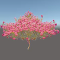 Stunning Lush Flowering Tree With Abundant Pink Blossoms And Green Leaves