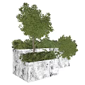 Bonsai Plants In White Planter With Various Green Shrubs And Decorative Tree Shape