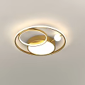 Modern Minimalist Ceiling Lights With Gold Frame LED Lighting And Different Shapes 3d model