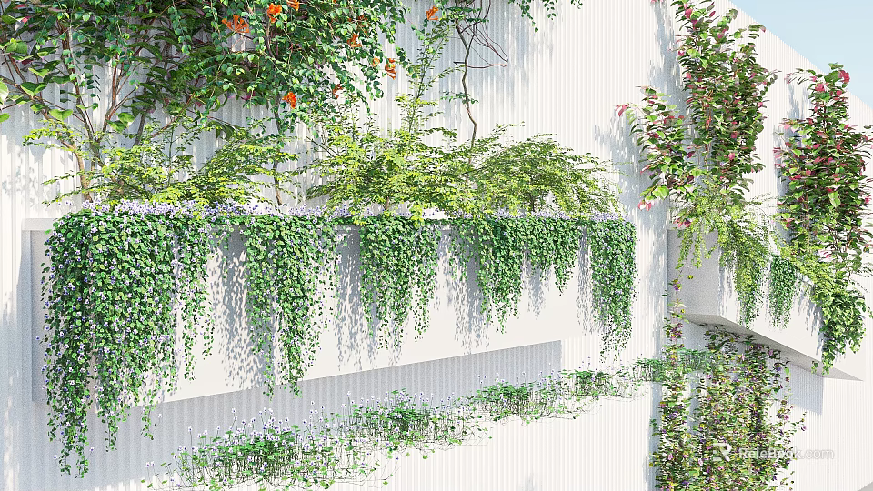 Lush Vines Hanging Down On White Building Walls With Greenery 3d model 