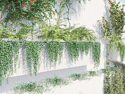 Lush Vines Hanging Down On White Building Walls With Greenery 3d model