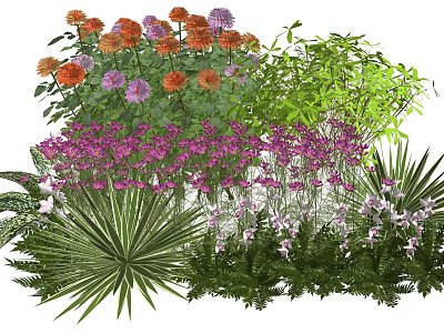 Colorful Plant Combination with Flowering Plants Ferns and Green Foliage for Garden Landscaping 3d model