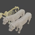 Realistic 3D Lion Skeleton And Two Standing Lion Models 3d model