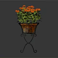 Orange Flower Plant With Green Leaves On Black Metal Decorative Stand