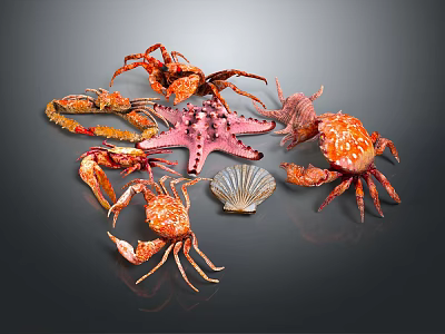 Colorful Marine Crabs and Pink Starfish with Scallop Shell on Dark Surface 3d model