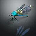 Turquoise Dragonfly with Transparent Wings and Yellow Iridescence on Dark Background Showing Reflection