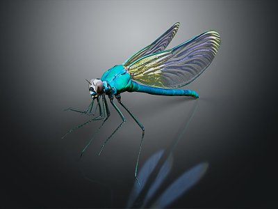 Modern Dragonfly Thin-winged Dragonfly Le Fairy Dragonfly Purple Red Dragonfly 3d model