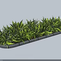 Tidy Green Shrubs In Landscaped Planter Bed With Stone Border Layout 3d model