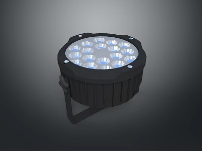 Furniture Decorative Round LED Light Fixture With Black Housing And Bright Bulbs 3d model