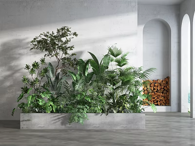 Indoor Green Plants In Concrete Planter With Various Foliage And Archway Background 3d model