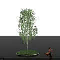 Weeping Birch Tree With Green Leaves On Small Island By Water Surface At Sunset