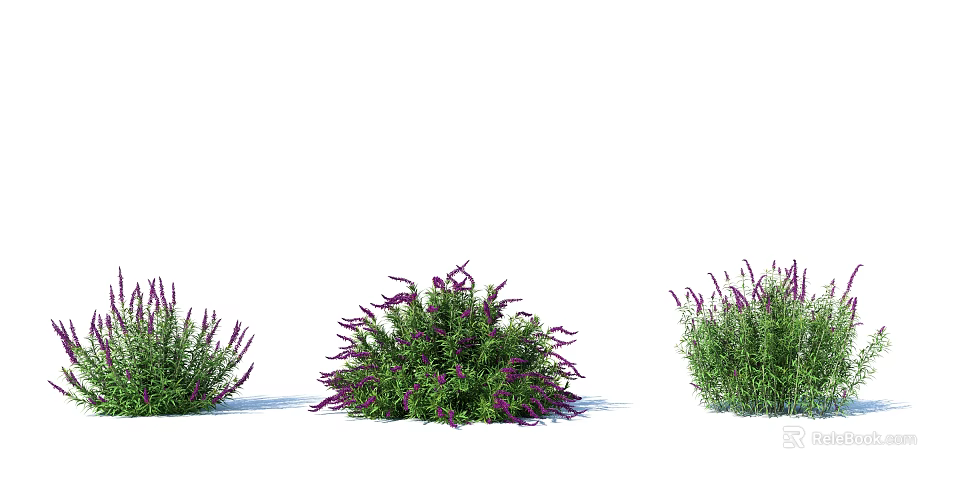 Vibrant Shrubs with Purple Flowers and Lush Green Foliage in Garden 3d model 