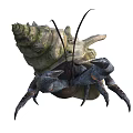 Hermit Crab With Spiral Shell Long Antennae And Sharp Claws In Marine Environment 3d model