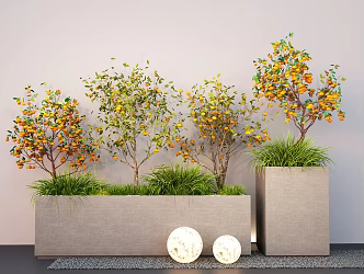 Flower Box Plant Combination Flower Box Lemon Tree Orange Tree 3d model