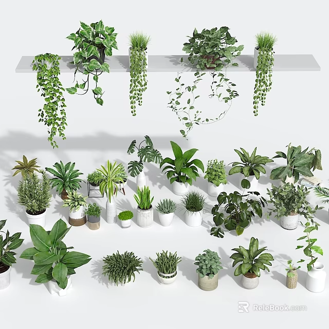 Lush Hanging Basket Plants with Cascading Greenery for Indoor Decoration 3d model 