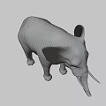 Gray Elephant Model With White Ivory Tusks Standing On Black Background
