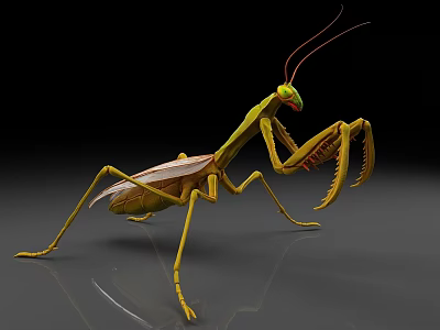 Yellow Reptile With Slender Limbs And Scales In Predatory Stance On Black Background 3d model