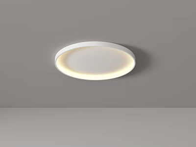 Modern Round Ceiling Light With Soft Glow In Minimalist Space 3d model