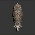 Realistic Sheep 3D Model With Detailed Fur Texture Standing on Dark Background