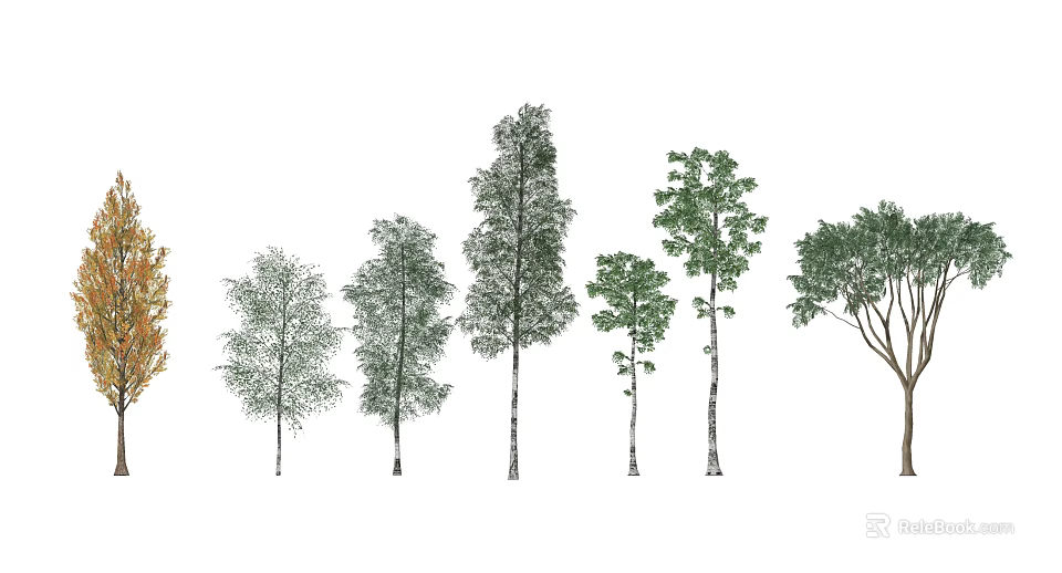 Various Arbor Trees with Different Heights Foliage and Trunk Features 3d model