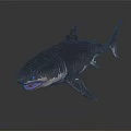 Gray Shark With Open Mouth And Sharp Teeth In 3D Model On Dark Background 3d model