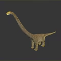 3D Rendered Sauropod Dinosaur with Long Neck and Textured Skin Standing on Gray Background