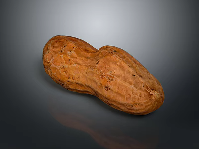 Peanut Plant Vegetable Dried Fruit 3d model