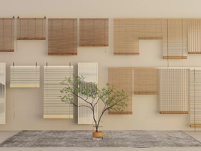Various Styles Wooden Bamboo Blinds Hanging On Wall With Small Potted Plant And Rug 3d model