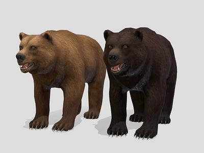 Modern brown bear reptile 3d model