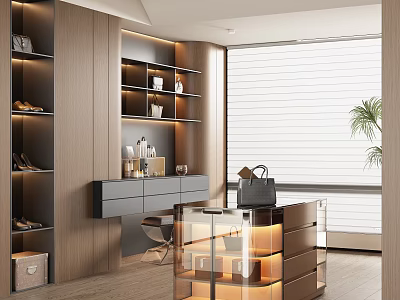 Modern Walk In Closet Interior With Wooden Shelves Drawers Glass Cabinet And Lighting 3d model