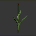 Vibrant Red Flower With Green Stem Leaves And Yellow Black Center On Gray Background