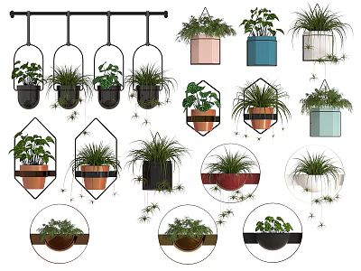 Hanging Potted Plants with Various Shaped Planters for Indoor Green Decor 3d model