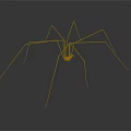 Cellar Spider With Long Thin Legs On Dark Background And Reflection Effect 3d model