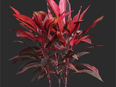 Lush Vibrant Red and Purple Leaf Arbor for Garden Landscape Decoration 3d model
