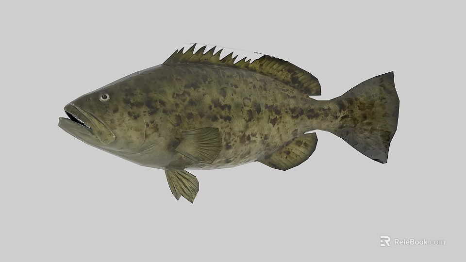 Grouper Aquatic Animal With Spotted Brown Green Scales And Open Mouth 3d model 