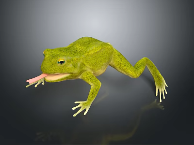 Realistic Green Reptile With Extended Tongue On Dark Reflective Background 3d model