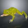 Realistic Green Reptile With Extended Tongue On Dark Reflective Background