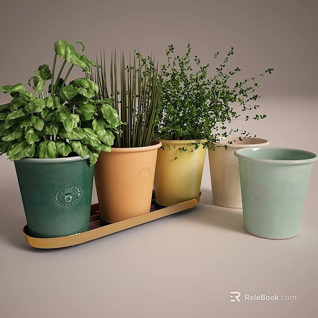 Leafy Green Plants in Colorful Flower Pots Arranged on Tray and Single Pot 3d model 