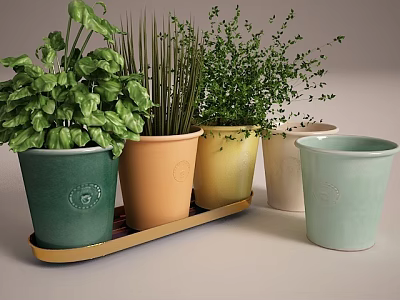 Leafy Green Plants in Colorful Flower Pots Arranged on Tray and Single Pot 3d model