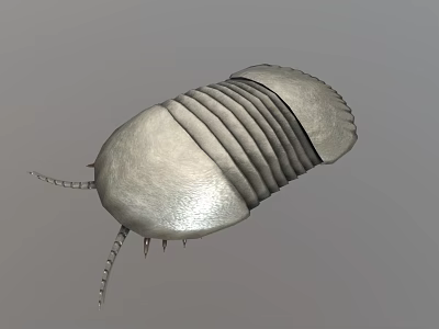 Silver Prehistoric Creature Model With Striped Exoskeleton And Tail Spikes 3d model