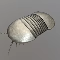 Silver Prehistoric Creature Model With Striped Exoskeleton And Tail Spikes 3d model