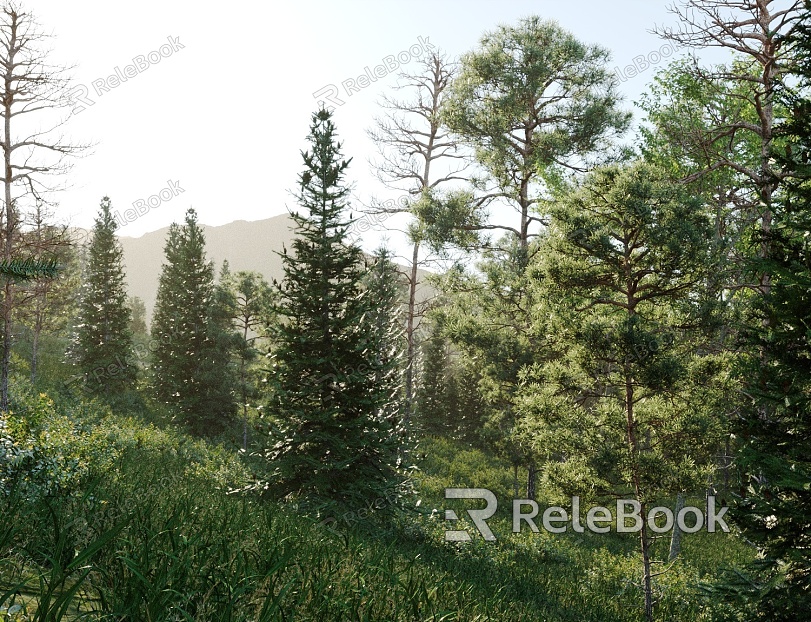 Modern forest forest plants model