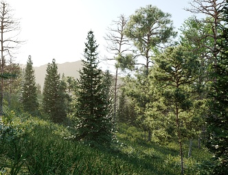 Modern forest plants 3d model