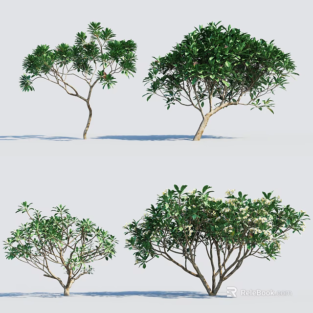 Different Green Leafy Shrub Varieties Featuring Dense Foliage and Branches 3d model